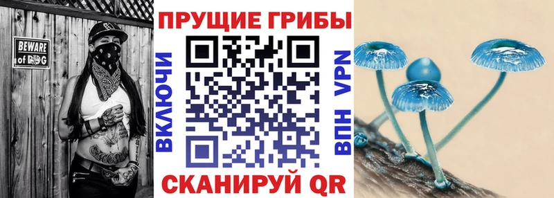 Псилоцибиновые грибы мицелий  Карабулак 