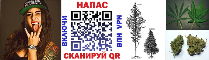 Шишки марихуана план Карабулак